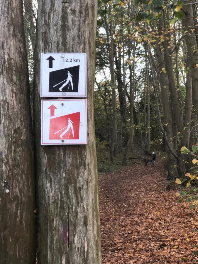 Fewo Erholsame Auszeit Neubrandenbourg Extérieur photo